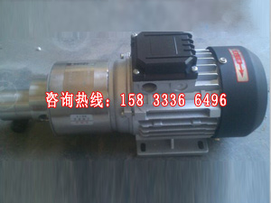 CQB型微型磁力齿轮泵